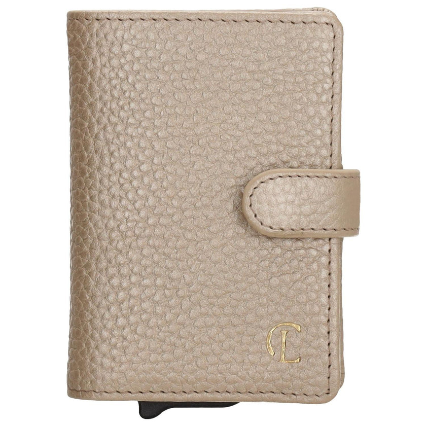 Charm Credicard etui 21276 Washington Champagne 095
