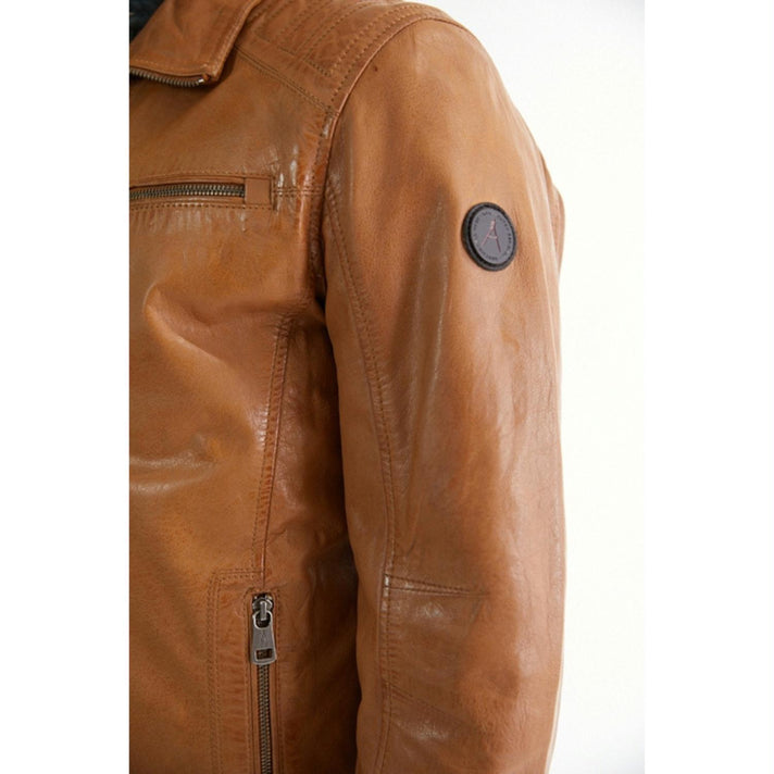 Donders 1860 Jas 52347 Camel 310 Donders 1860 Jas 52347 Camel 310