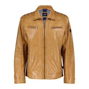 Donders 1860 Jas 52347 Camel 310 Donders 1860 Jas 52347 Camel 310