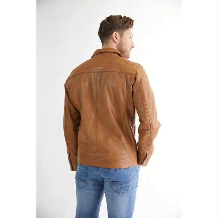 Donders 1860 Jas 52347 Camel 310 Donders 1860 Jas 52347 Camel 310