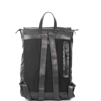 Bear Design Rugzak CL36502 Rob Zwart Bear Design Rugzak CL36502 Rob Zwart
