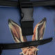 New Rebels Rugzak 51.1498 New York Rabbitssuit 88