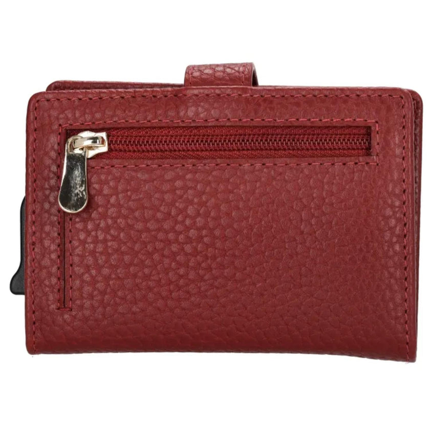 Charm Credicard etui 21276 Washington Bordo 007