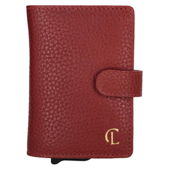 Charm Credicard etui 21276 Washington Bordo 007