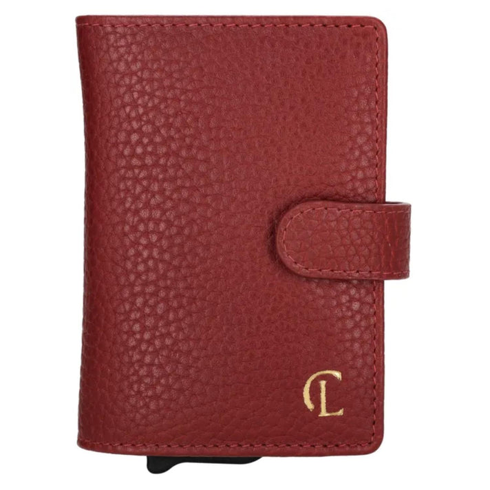 Charm Credicard etui 21276 Washington Bordo 007